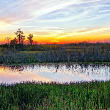 Louisiana Clean Energy Complex
